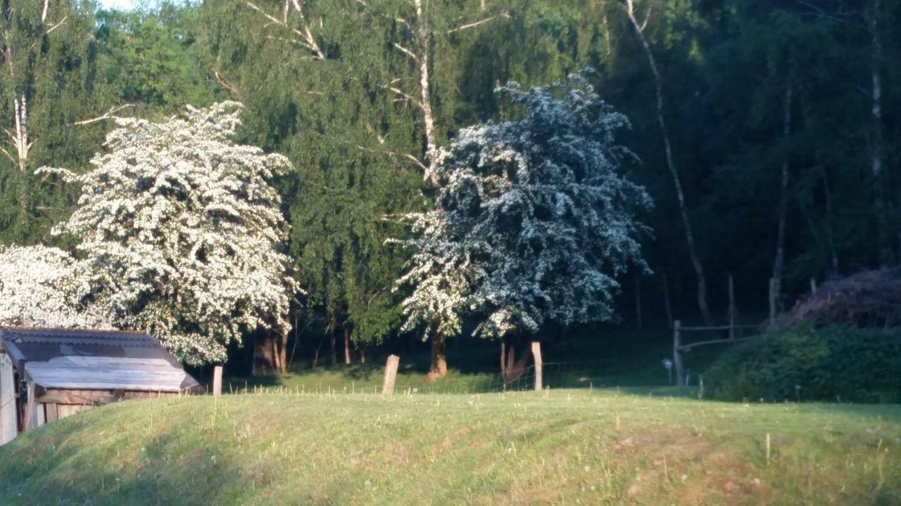 Zimmervermietung Am Holzberg Thallwitz Exteriör bild